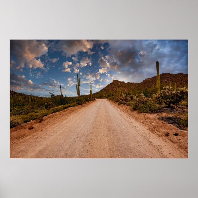 Poster Desertos | Arizona do Parque Nacional Saguaro (Frente)