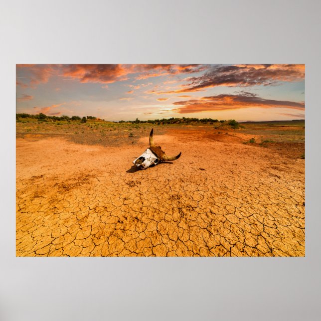 Poster Desertos | Deserto com Crânio de Vaca (Frente)