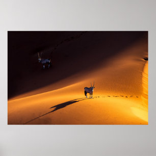 Poster Desertos Namib Naukluft National Park Quênia