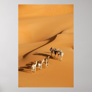 Poster Desertos   Tuareg Walk com Camels