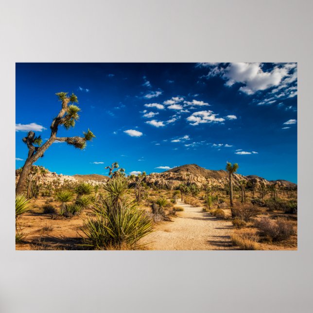 Poster Deserts | Joshua Tree National Park (Frente)
