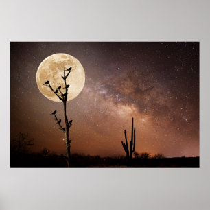 Poster Deserts   Saguaro Cactus With Birds in Desert
