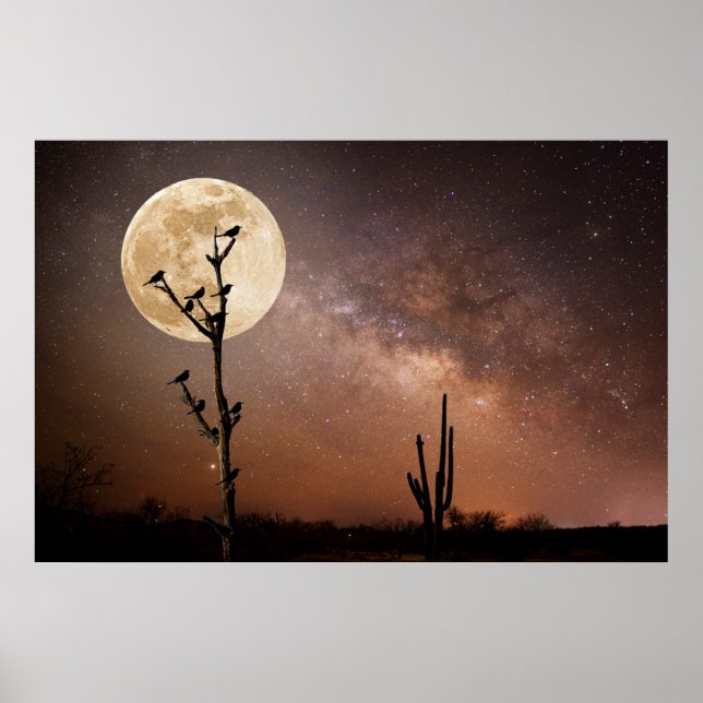 Poster Deserts | Saguaro Cactus With Birds in Desert (Frente)