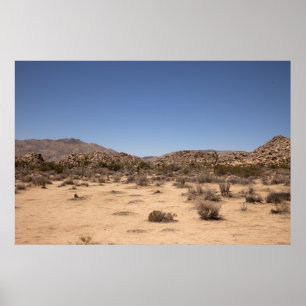 Pôster Desertscape