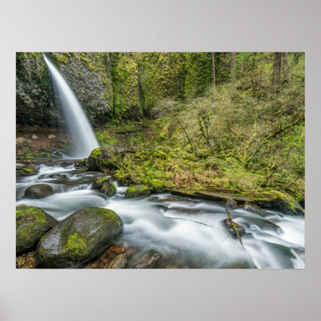 Poster Desfiladeiro do Rio Columbia, Ponytail Falls (Frente)