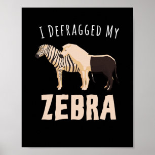 Poster Desfiz Minha Zebra