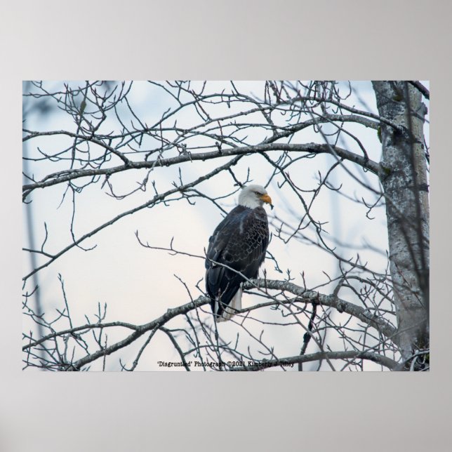 Poster Desgraçado (Frente)