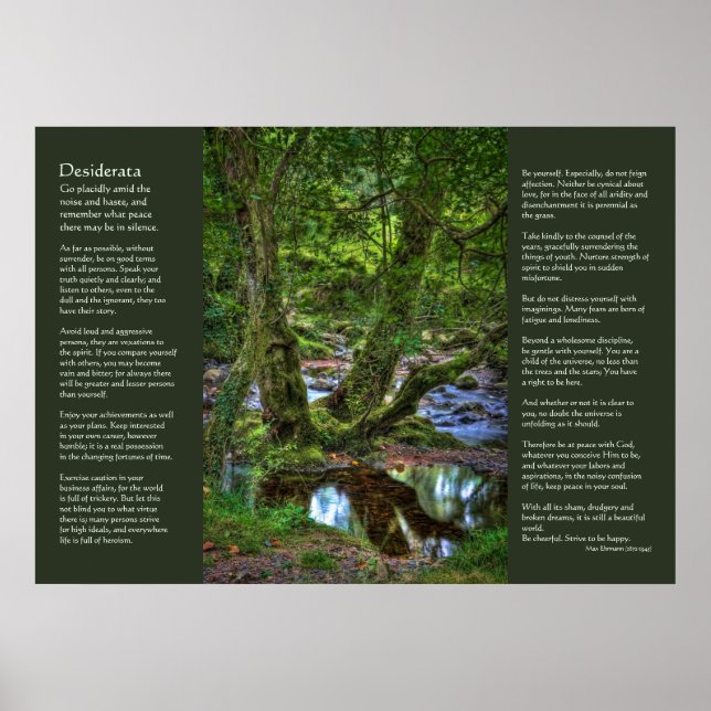Poster Desiderata - Árvores de Creek Spitchwick (Frente)