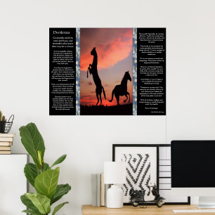 Poster Desiderata Black Stallion Sunset