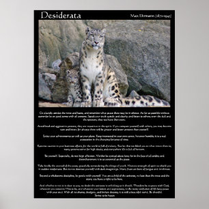 Poster Desiderata dois chitas na montanha