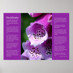 Pôster Desiderata - Foxglove Roxo