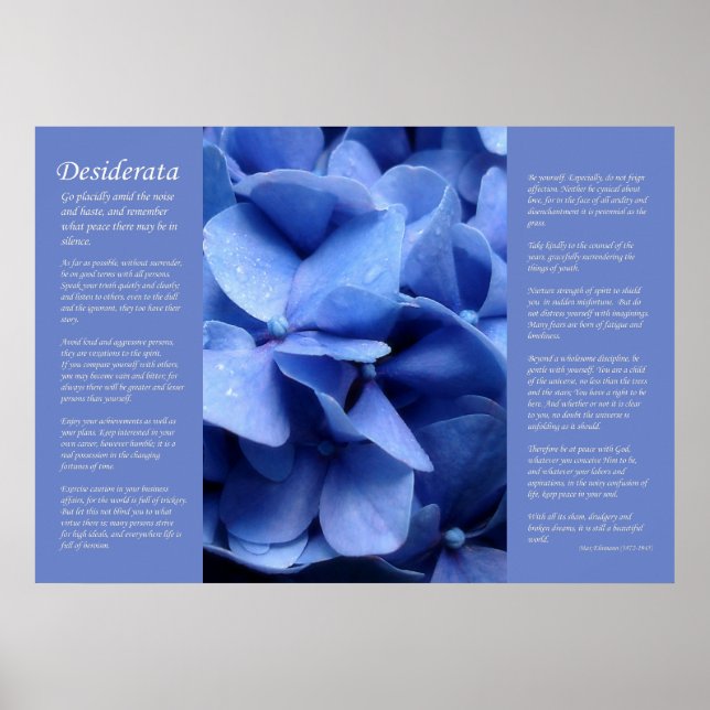 Poster Desiderata - Hydrangea Azul (Frente)