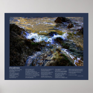 Poster Desiderata - O Lado Ancioso