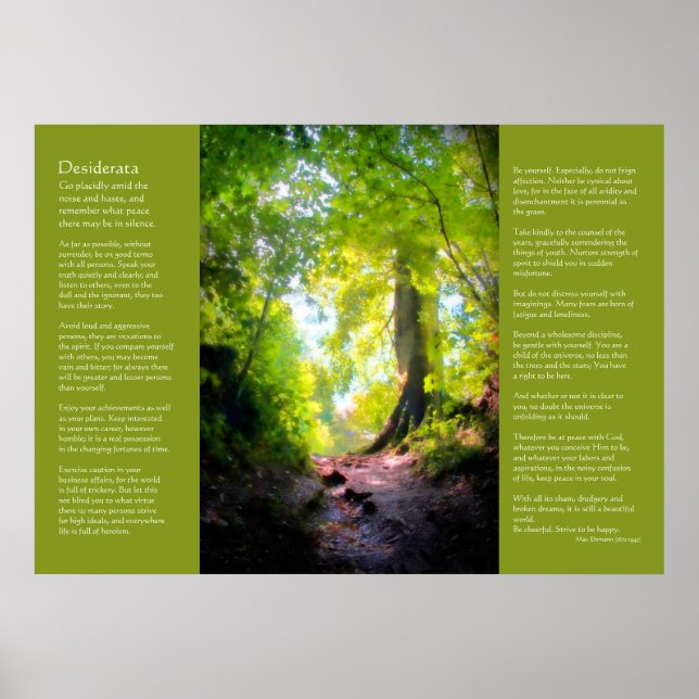 Pôster Desiderata - O Último Aumento (Frente)