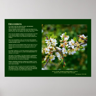 Pôster Desiderata - Primavera Hawthorn Solo-Aplicado