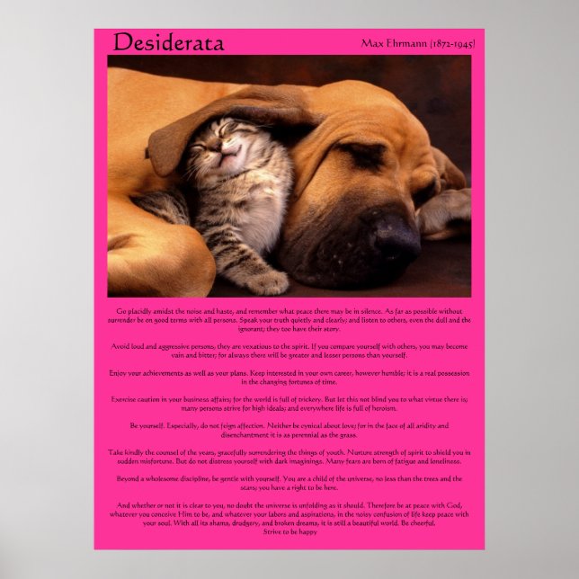 Poster Desiderata sob os Posters-cama do ouvido do beagle (Frente)
