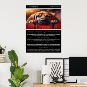 Poster Desiderata: Um Conteúdo Canino
