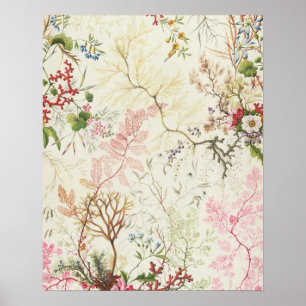 Pôster Design da alga para o material de seda (w/c no