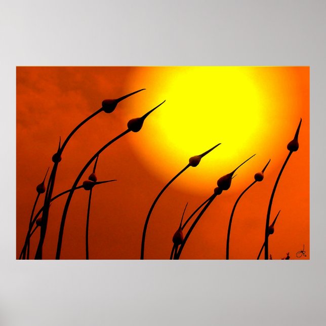 Poster Design da natureza (Frente)