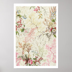 Pôster Design de algas marinhas para matérias de seda (m/