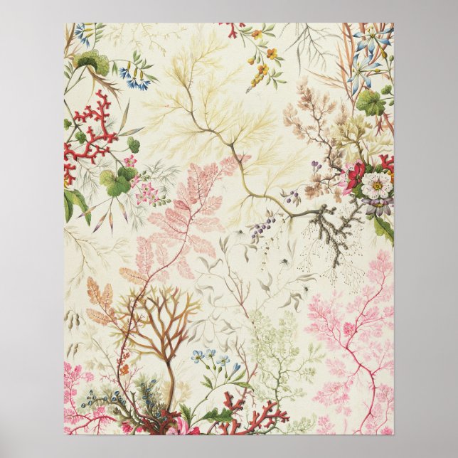 Pôster Design de algas marinhas para matérias de seda (m/ (Frente)