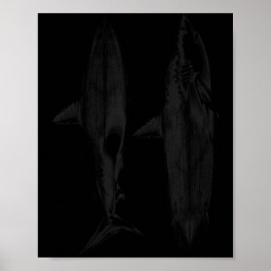 Poster design de barbatana de prancha de tubarão surfista