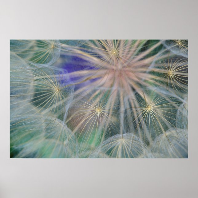 Poster Design de cabeça de semente | Genésias, Idaho (Frente)