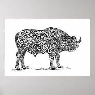Poster Design de Cabo Buffalo