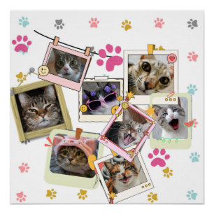 Pôster Design de colagem de gatos engraçados e bonitos
