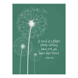 Pôster Design de Dandelion