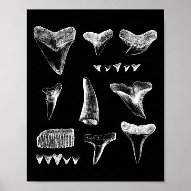 Poster Design de Dentes Engraçados De Tubarão Para Homens (Frente)