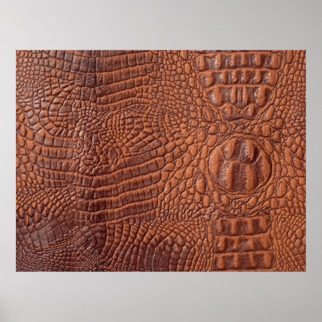 Poster Design de fundo de textura castanha,fond,abstra (Frente)