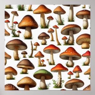 Poster Design de Padrão de Coleta de Cogumelos