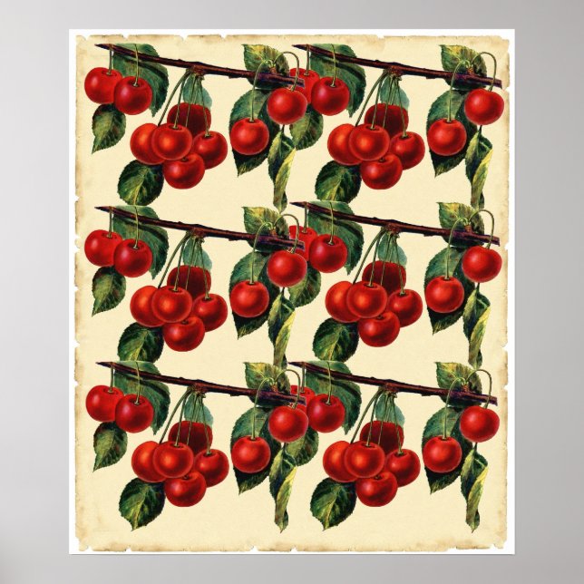 Pôster Design de Papel de Carteira de Fruta Vermelho Anti (Frente)