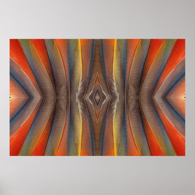 Pôster Design de penas de escarlet Macaw (Frente)