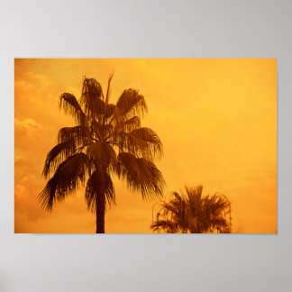 Poster Design de praia de palmeira de Verão