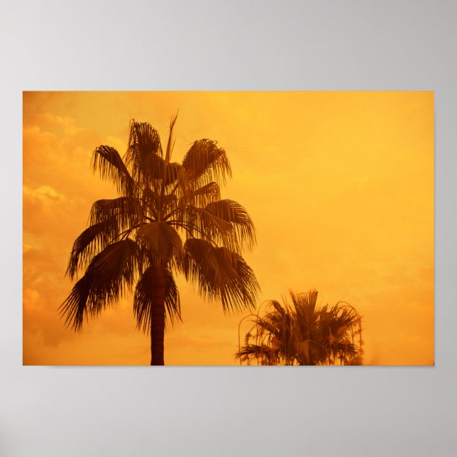 Poster Design de praia de palmeira de Verão (Frente)