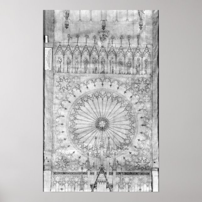 Poster Design para a janela rosa e galeria de (Frente)