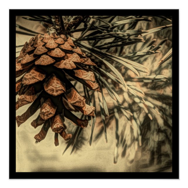 Pôster Design Rústico Pine Cone (Frente)