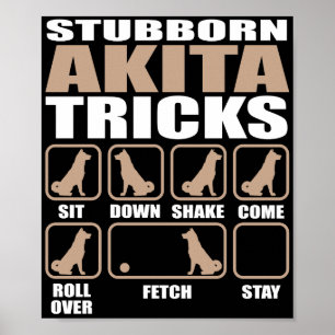 Poster Design teimoso dos truques de Akita