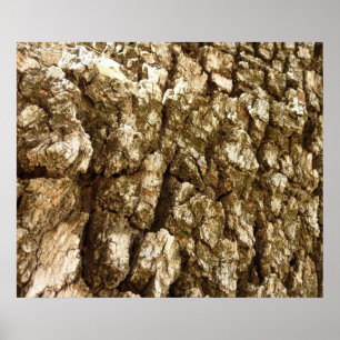 Pôster Design Texturizado Natural de Casca de Árvore II