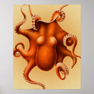 Pôster Design vermelho de Kraken do vintage do cefalópod