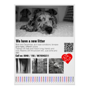 Pôster Designer - Grande Dane Puppy Poster