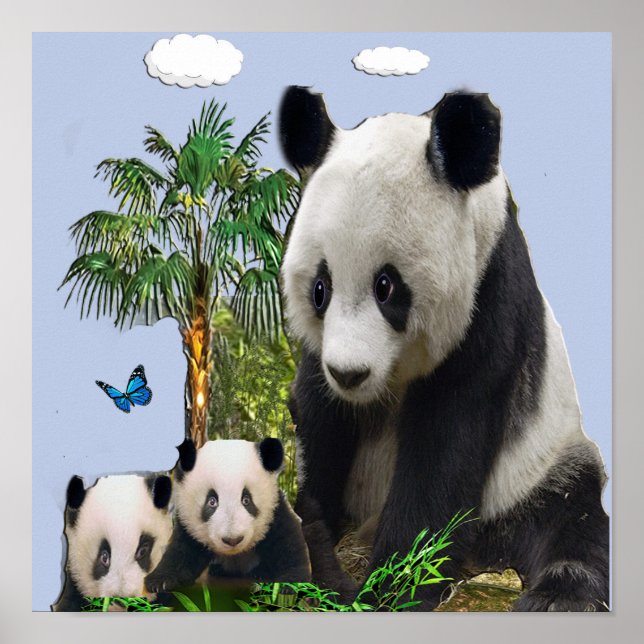 Poster Designs de urso Panda (Frente)