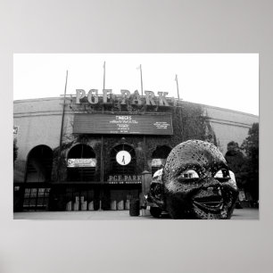 Poster desilva photo