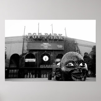 Poster desilva photo