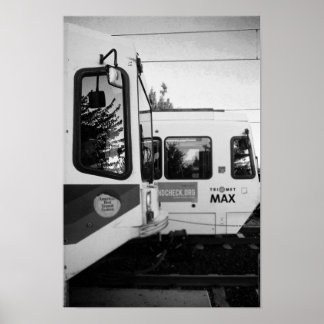 Poster desilva photo