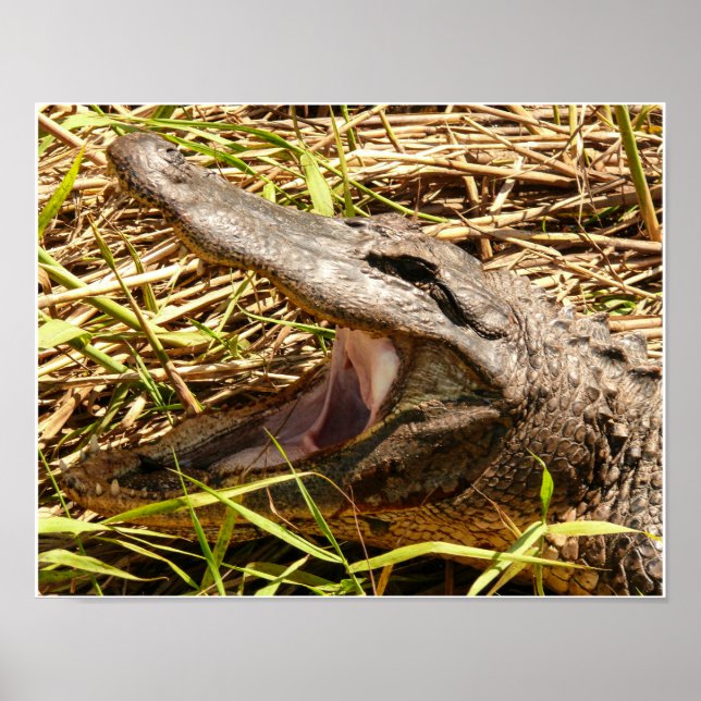 Pôster Desligar (Frente)