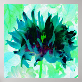 Poster Deslumbrante Dália Cacto Azul Turquesa e Preta