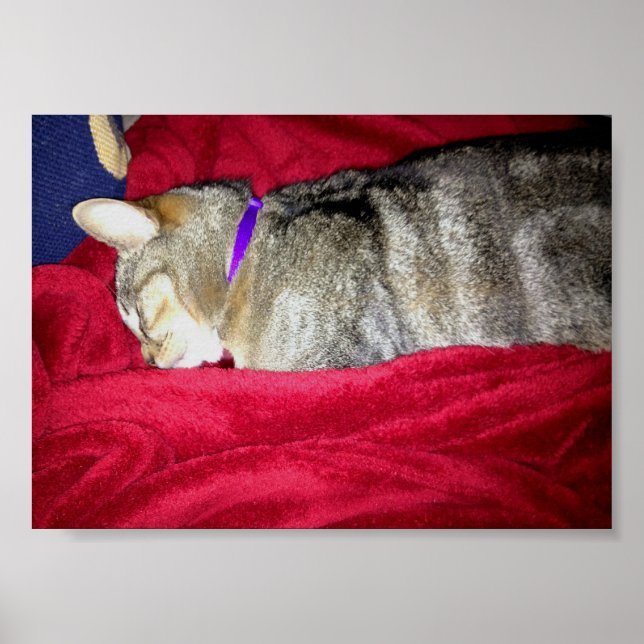 Pôster Desmaiado Indigo (Frente)